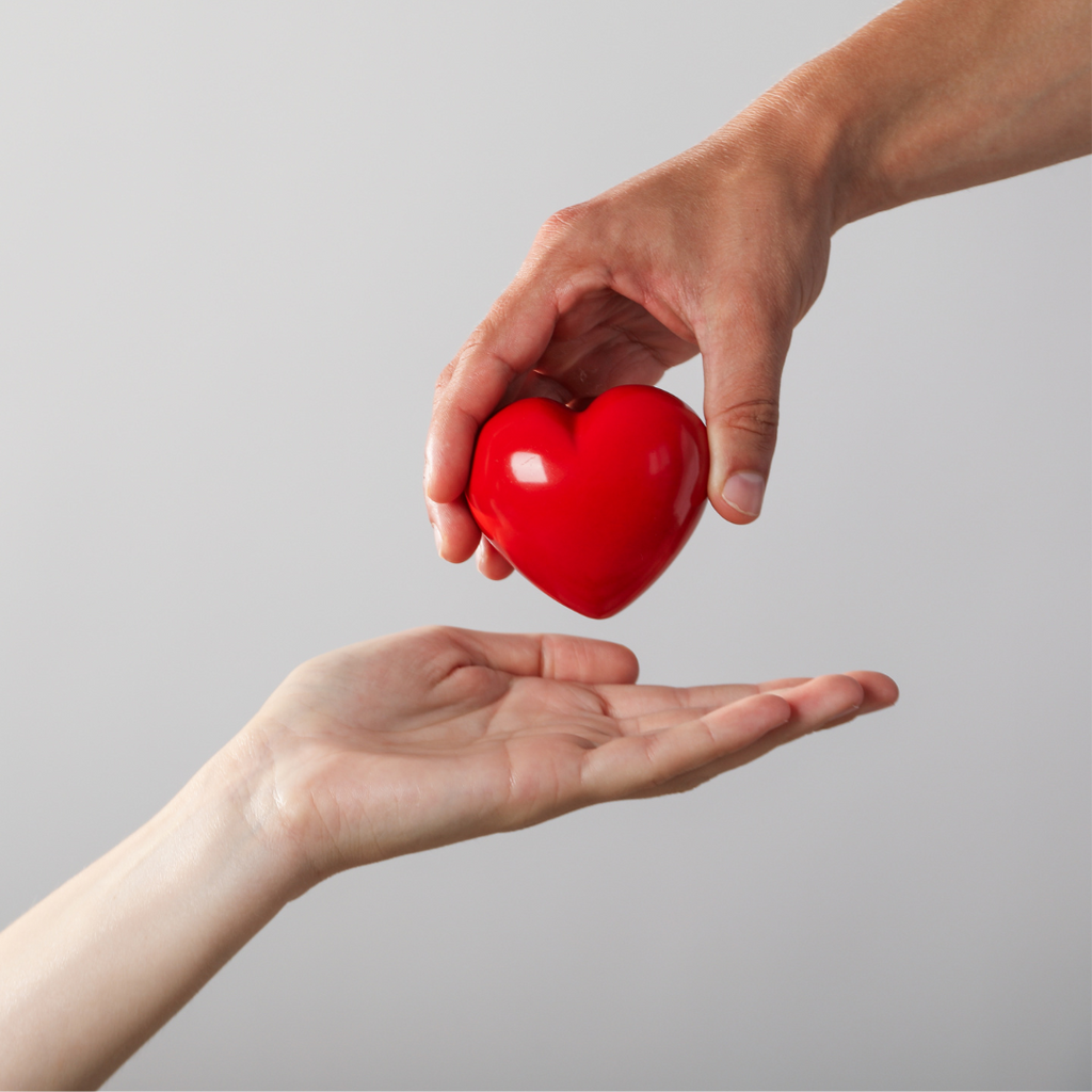 Can you donate blood while pregnant?