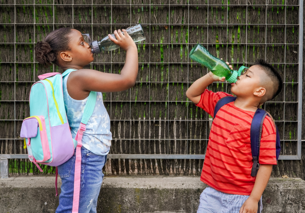5 Best Kids Water Bottles