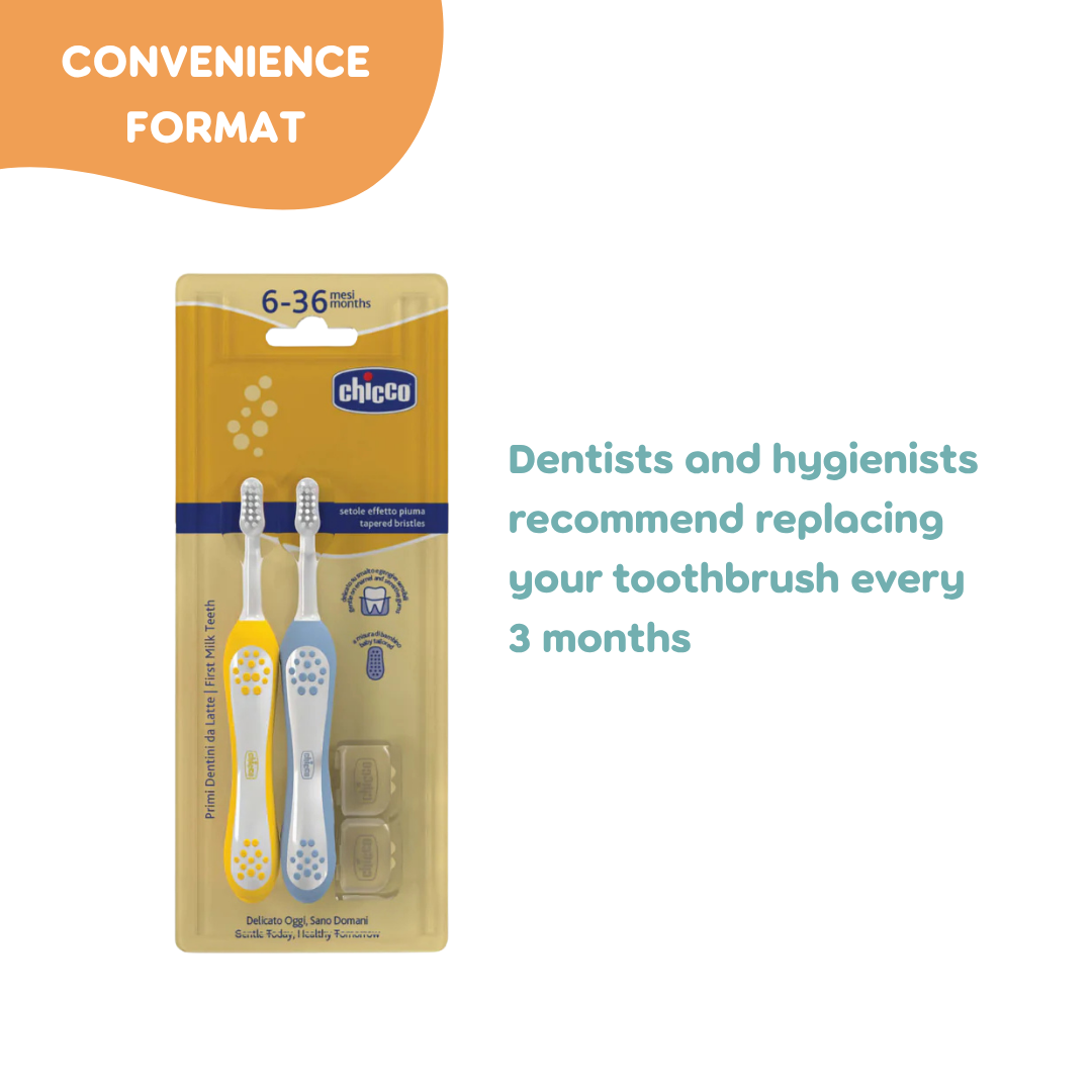Chicco First Teeth  Toothbrushes Pack of 2 Yellow/Blue Age- Mustard Yellow/Indigo Blue