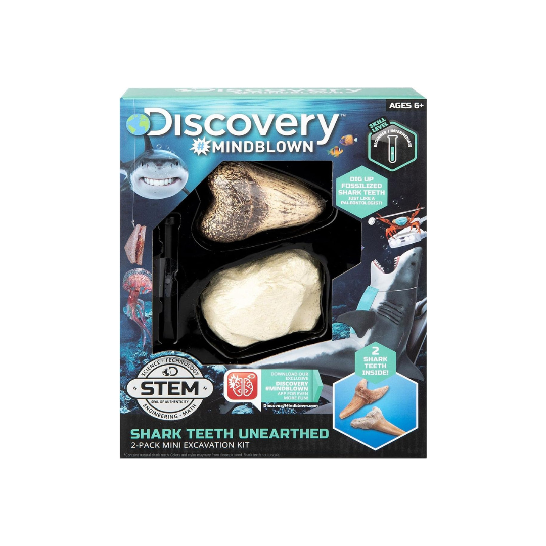 Discovery Toy Excavation Kit Mini Shark Tooth 2 Pieces Grey Age- 6 Years & Above