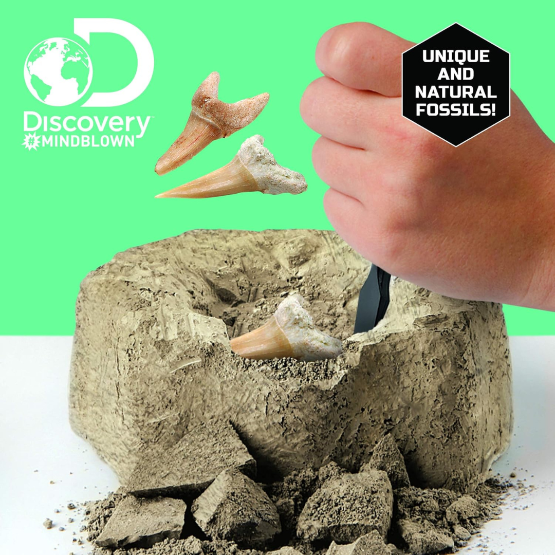 Discovery Toy Excavation Kit Mini Shark Tooth 2 Pieces Grey Age- 6 Years & Above