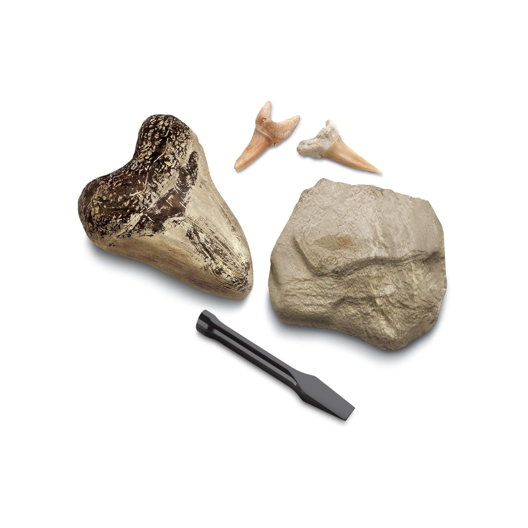 Discovery Toy Excavation Kit Mini Shark Tooth 2 Pieces Grey Age- 6 Years & Above