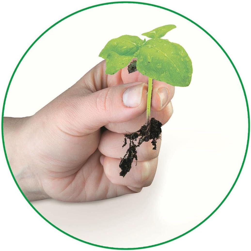 Clementoni My First Greenhouse - Science & Play Lab For Kids CL75127 Age- 7 Years & Above