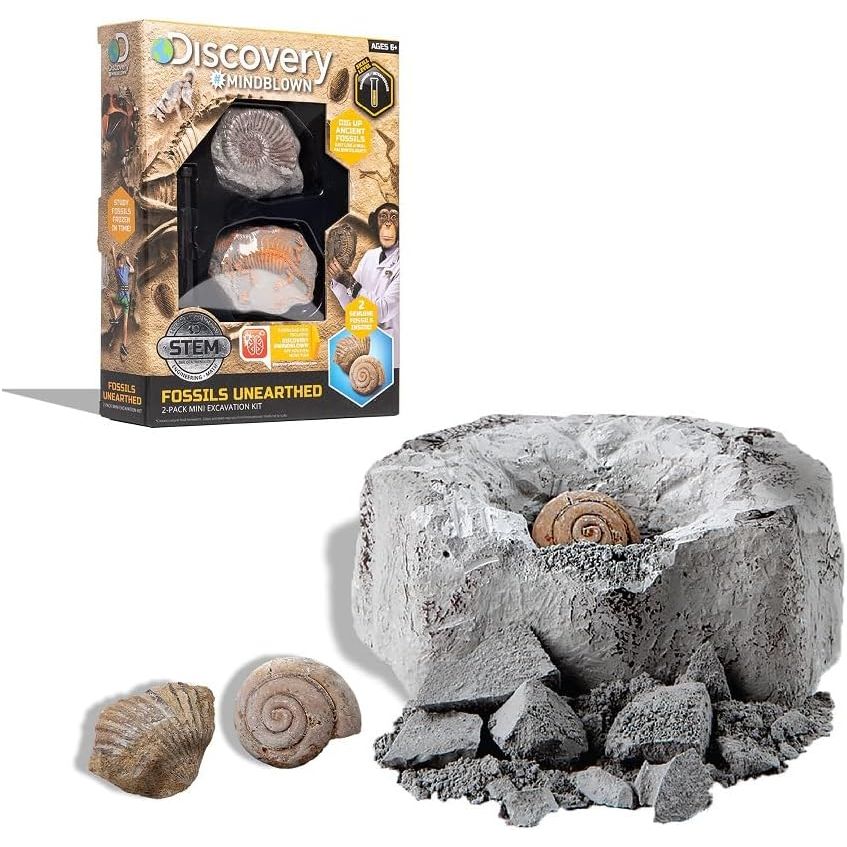 Discovery Toy Excavation Kit Mini Fossil 2 Pieces Grey Age- 6 Years & Above