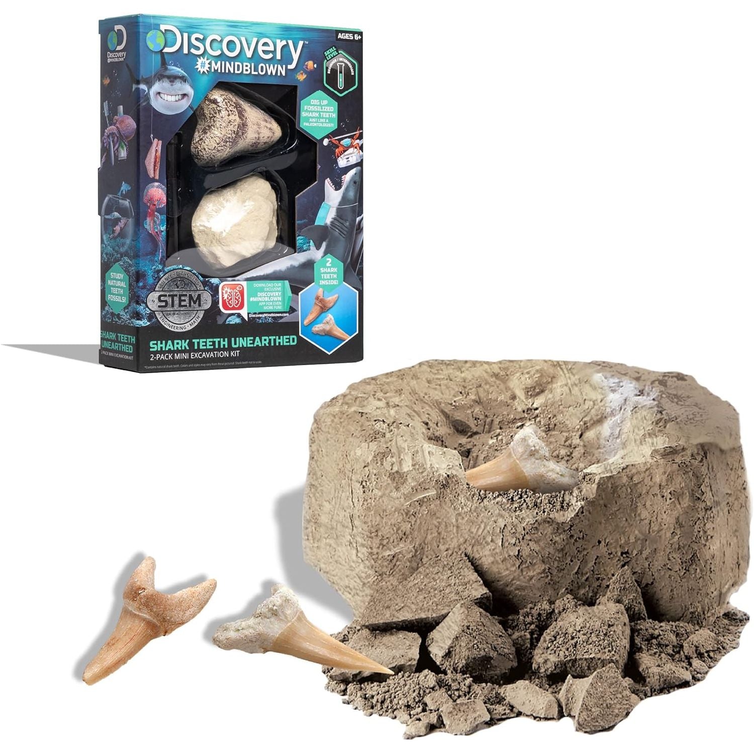 Discovery Toy Excavation Kit Mini Shark Tooth 2 Pieces Grey Age- 6 Years & Above