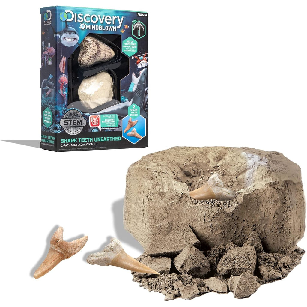 Discovery Toy Excavation Kit Mini Shark Tooth 2 Pieces Grey Age- 6 Years & Above