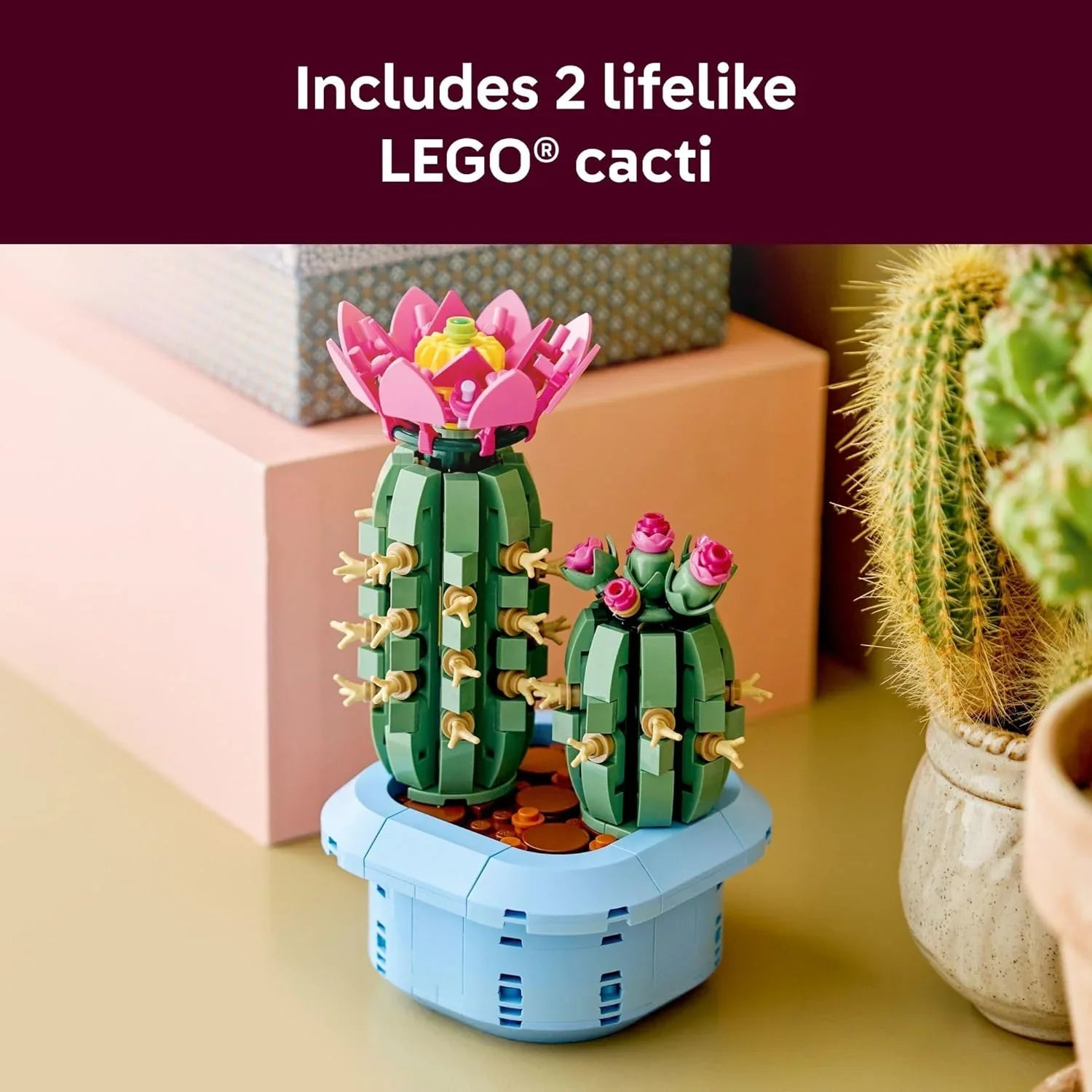 Lego Botanicals Flowering Cactus 11509  Age- 9 Years and Above