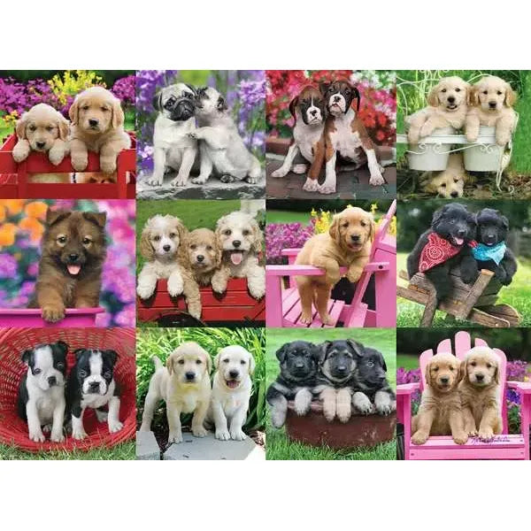 Ravensburger Puppy Pals 500 Pc Puzzle 12000196 Age- 8 Years & Above