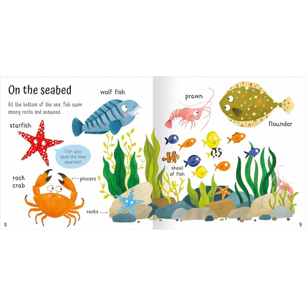 Wonderful Words Under the Sea!