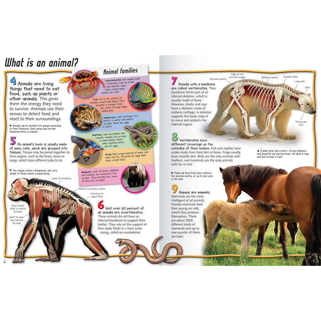 100 Facts Animal Life