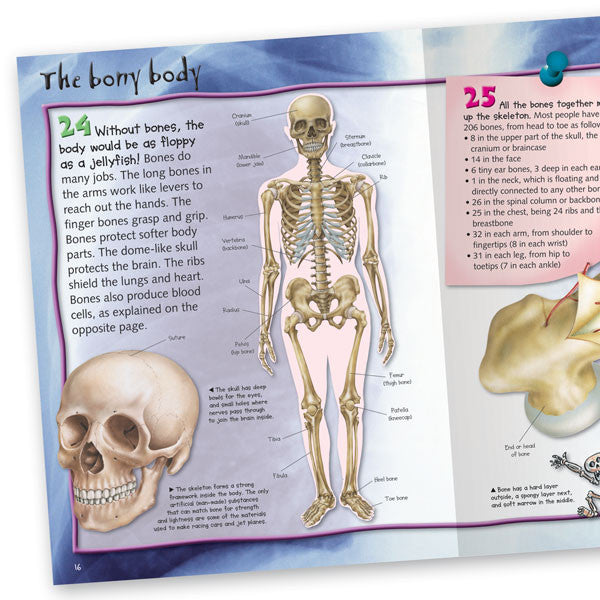 100 Facts Human Body