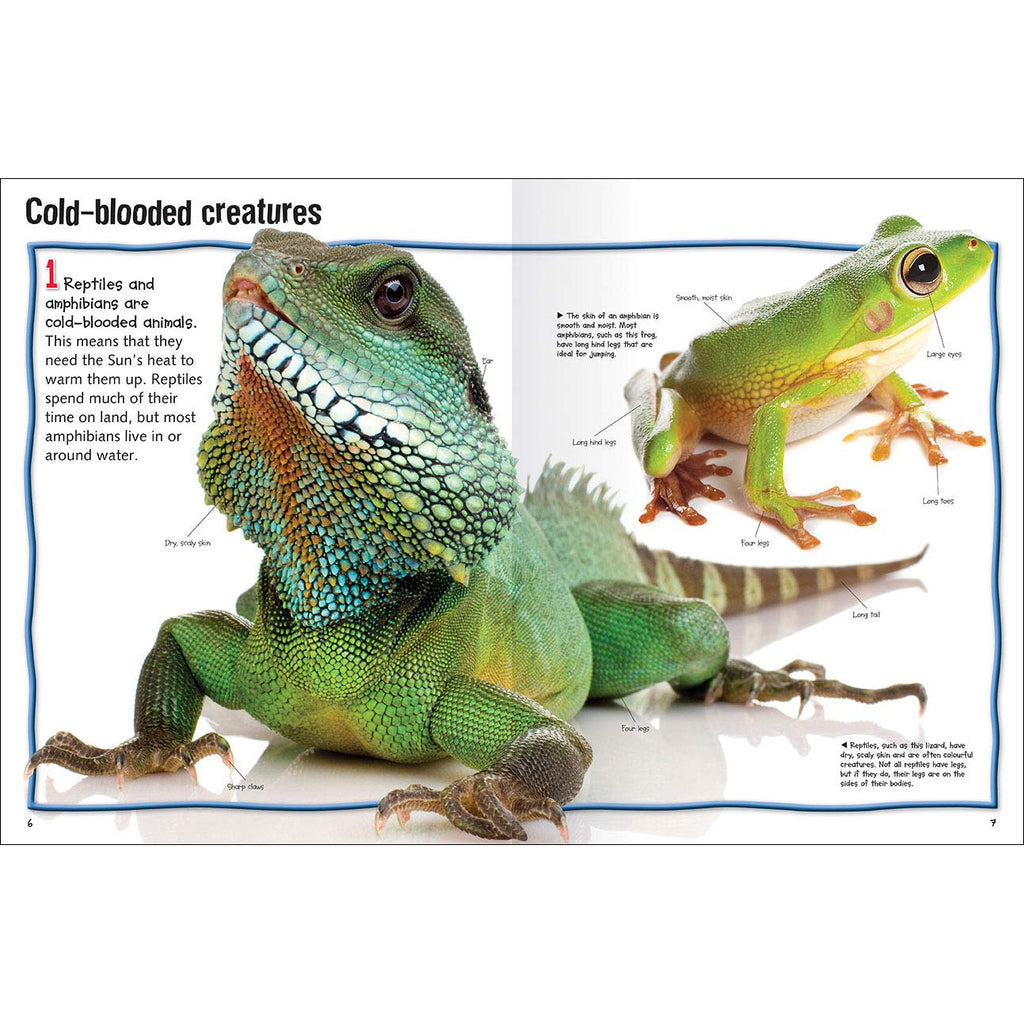 100 Facts Reptiles