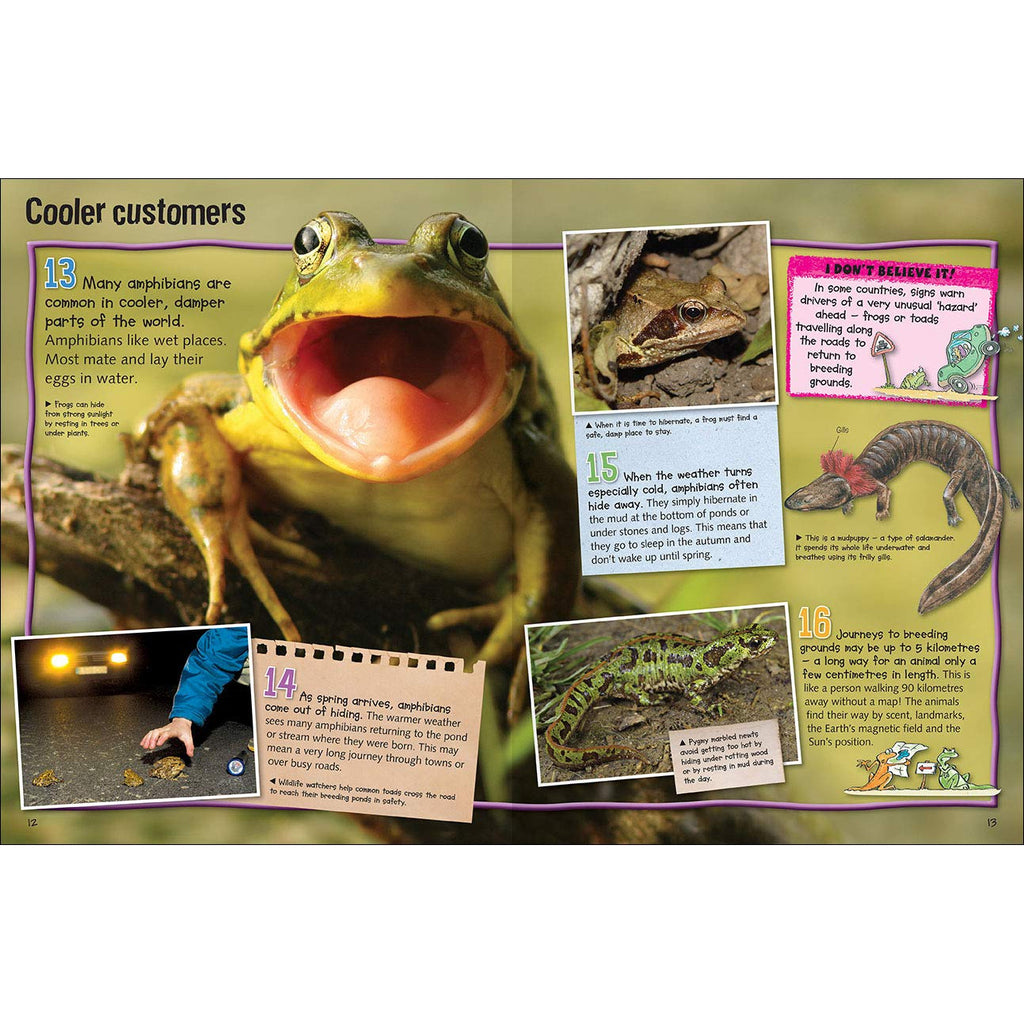 100 Facts Reptiles