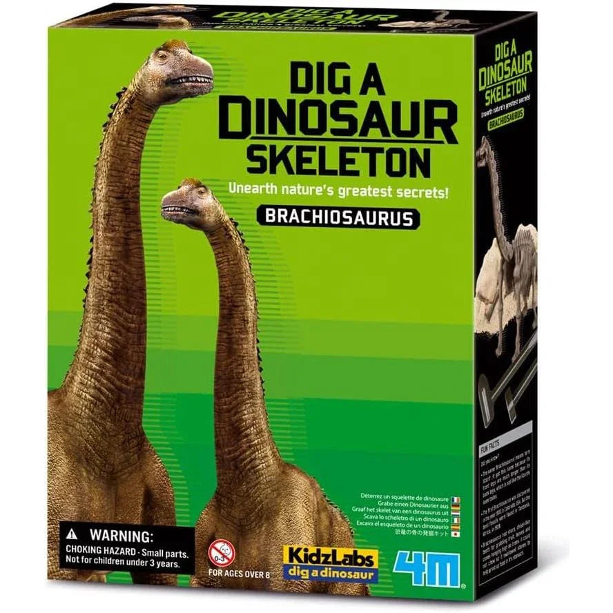 4M Kidz Labs Dig A Dinosaur Brachiosaurus Multicolor Age- 8 Years & Above