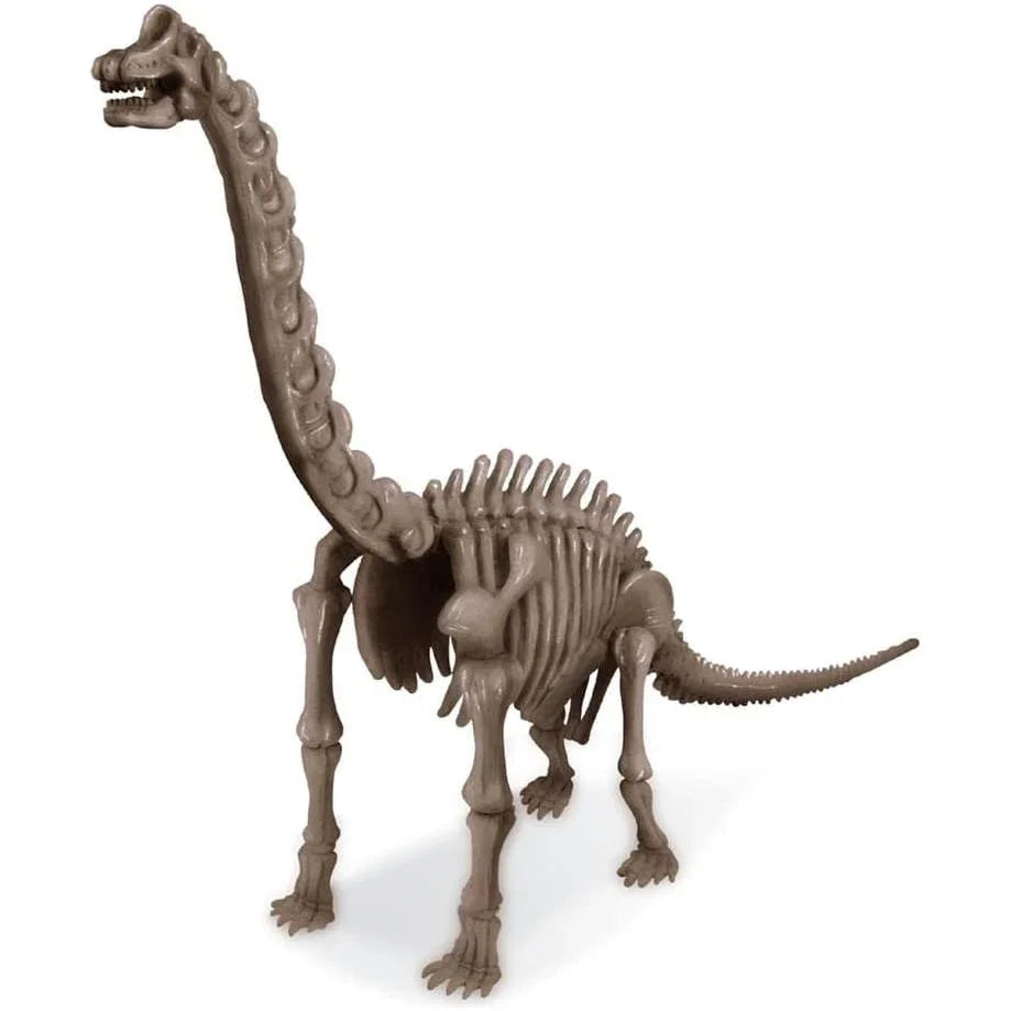 4M Kidz Labs Dig A Dinosaur Brachiosaurus Multicolor Age- 8 Years & Above