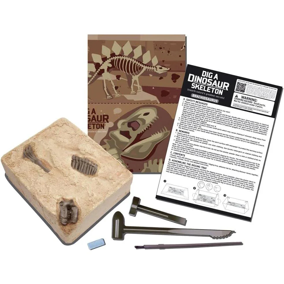 4M Kidz Labs Dig A Dinosaur Brachiosaurus Multicolor Age- 8 Years & Above