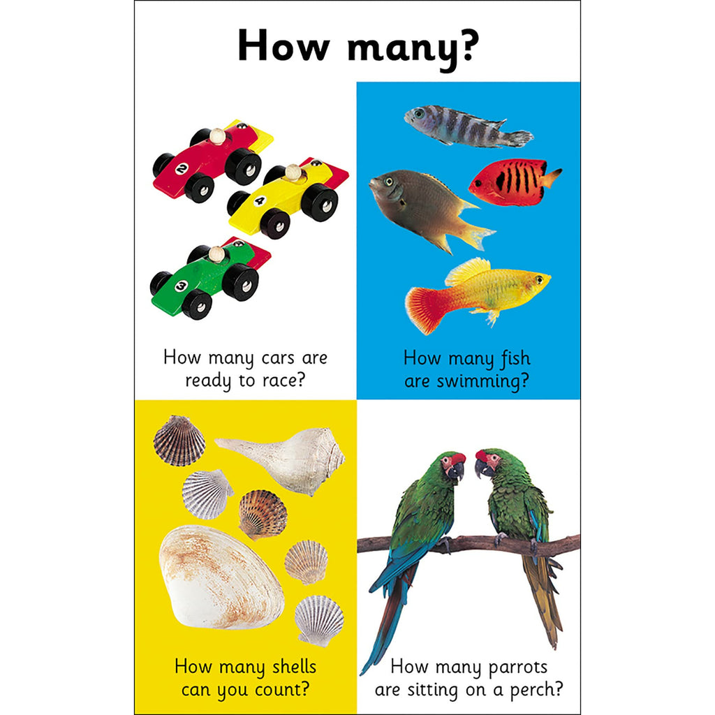 Activity Flash Cards Numbers Paperback Book