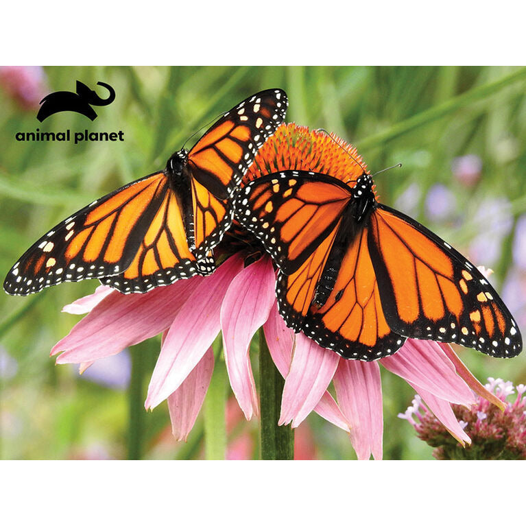 Animal Planet Monarch Butterfly 63 Piece 3D Puzzle Age-5 Years & Above