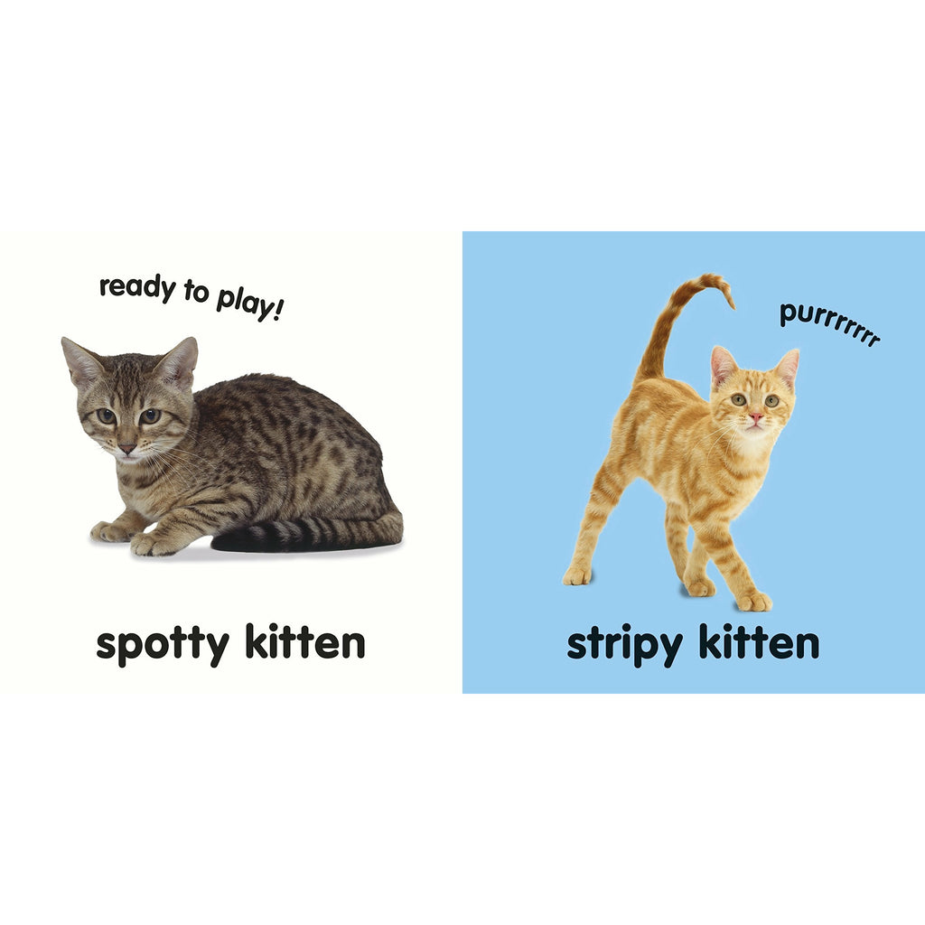 Baby Touch & Feel Kittens