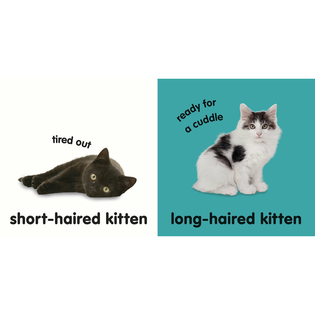 Baby Touch & Feel Kittens