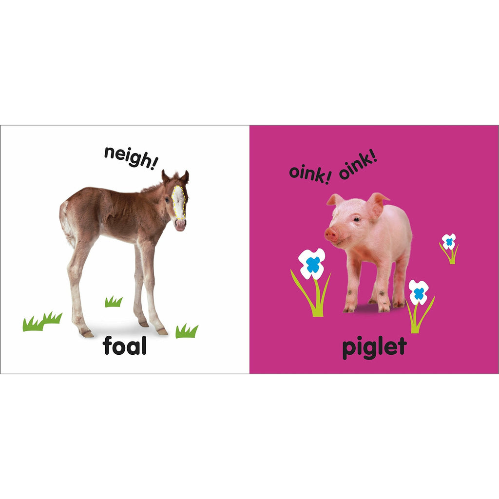 Baby Touch and Feel Baby Animals by DK