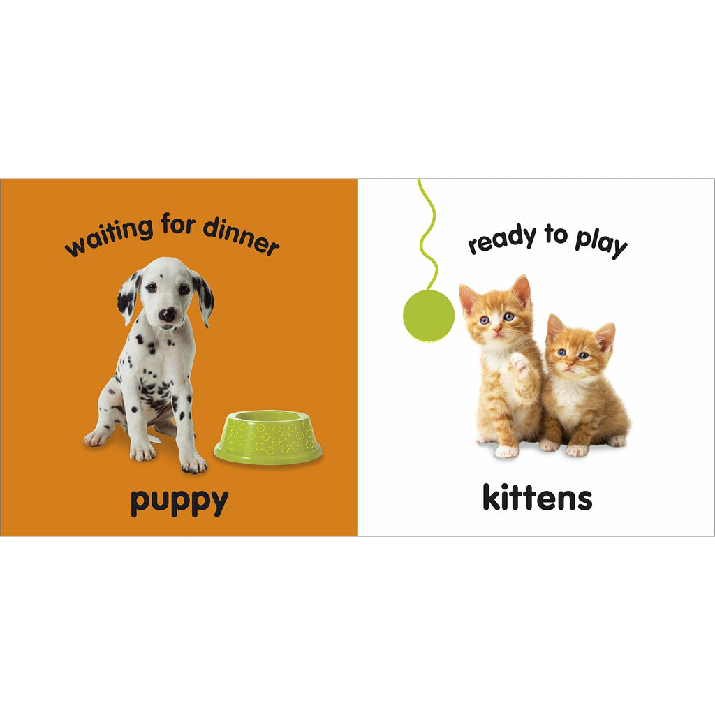 Baby Touch and Feel Baby Animals by DK