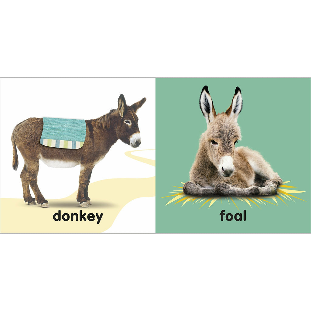 Baby Touch and Feel Bible Animals