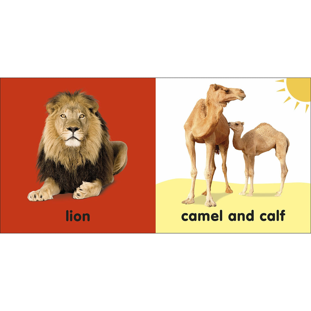 Baby Touch and Feel Bible Animals