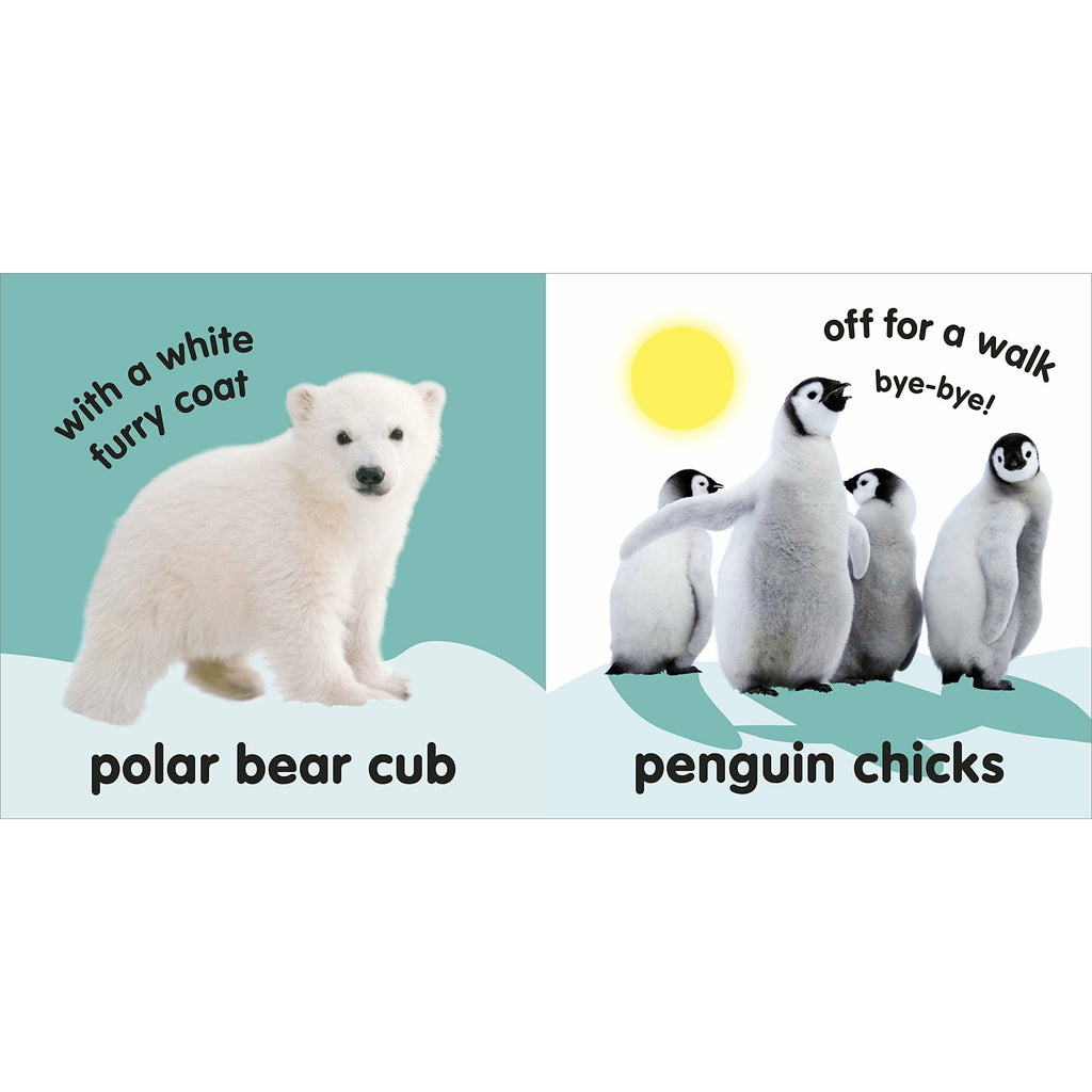 Baby Touch and Feel Fluffy Animals by DK