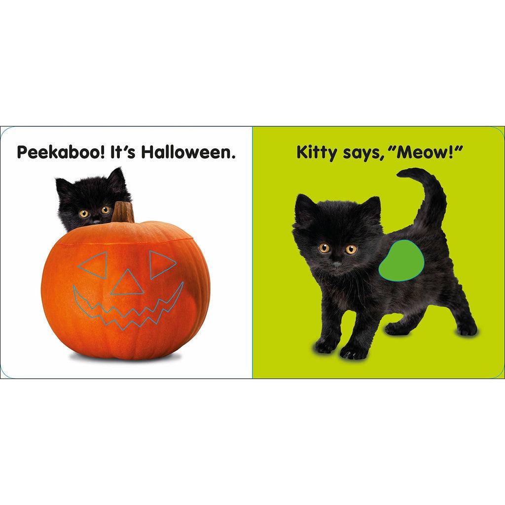 Baby Touch and Feel Halloween