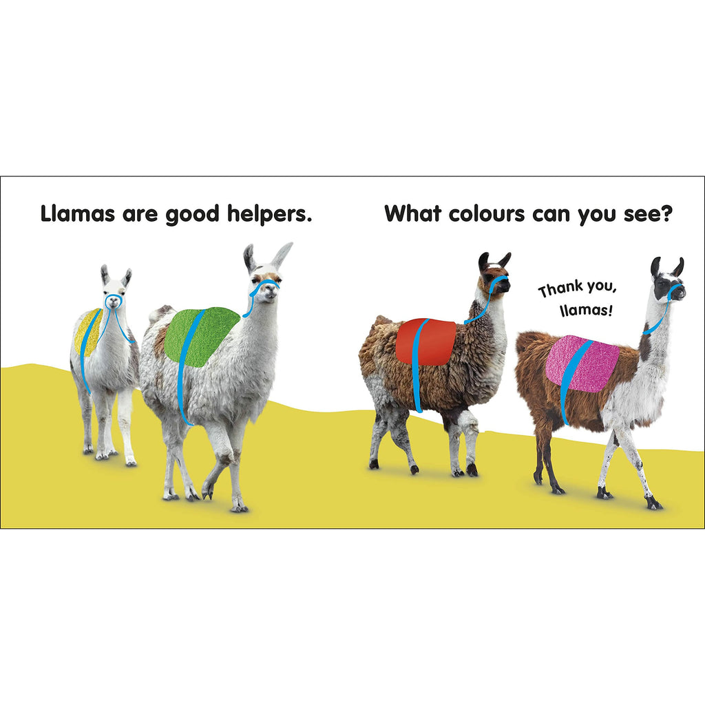 Baby Touch and Feel Llama