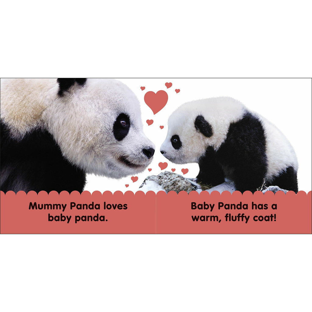 Baby Touch and Feel Panda