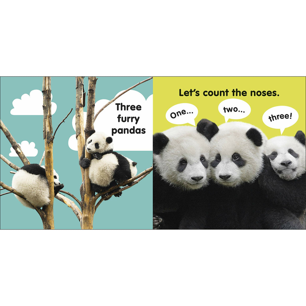 Baby Touch and Feel Panda