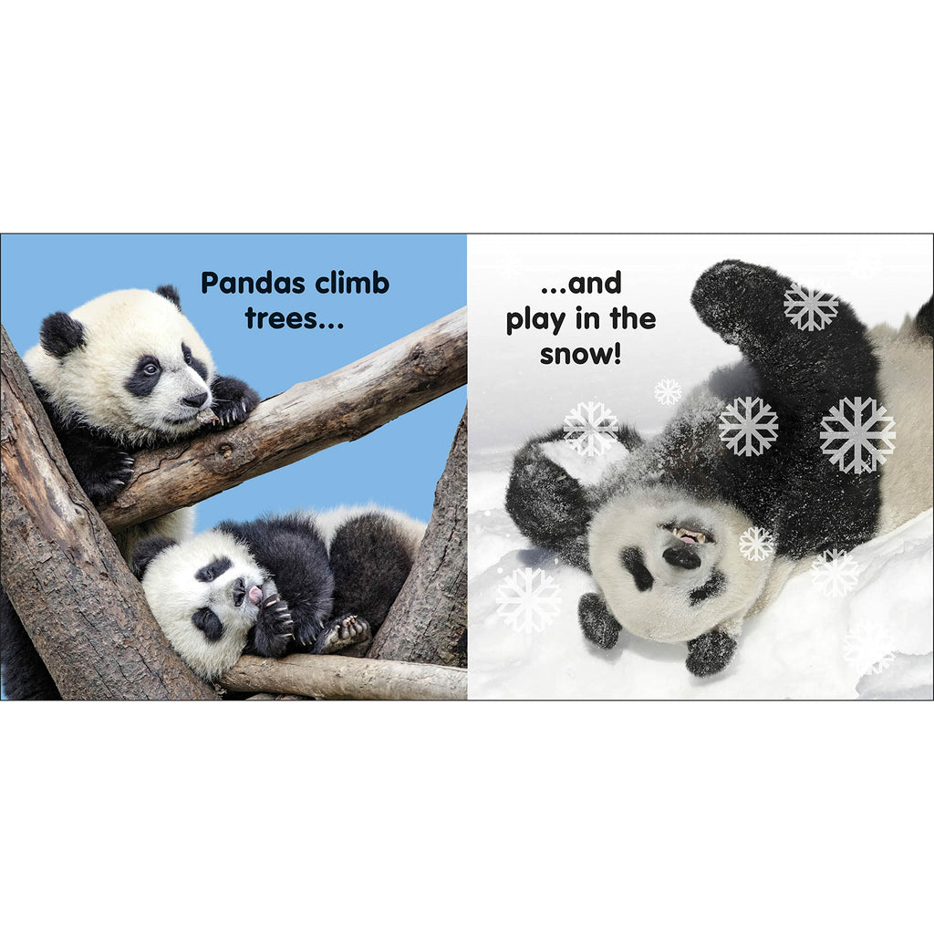 Baby Touch and Feel Panda