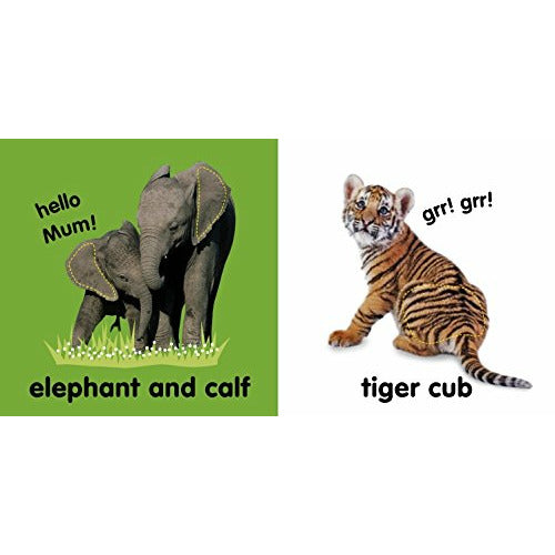 Baby Touch and Feel Wild Animals
