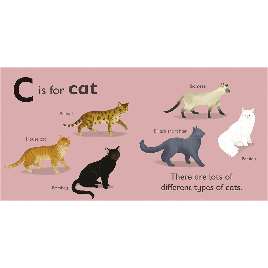C is for Cat Board book