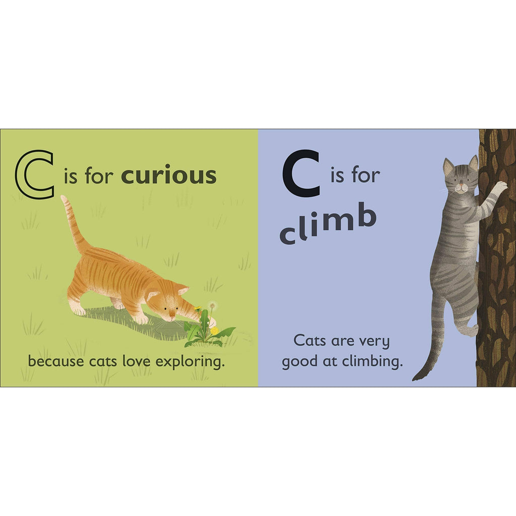 C is for Cat Board book