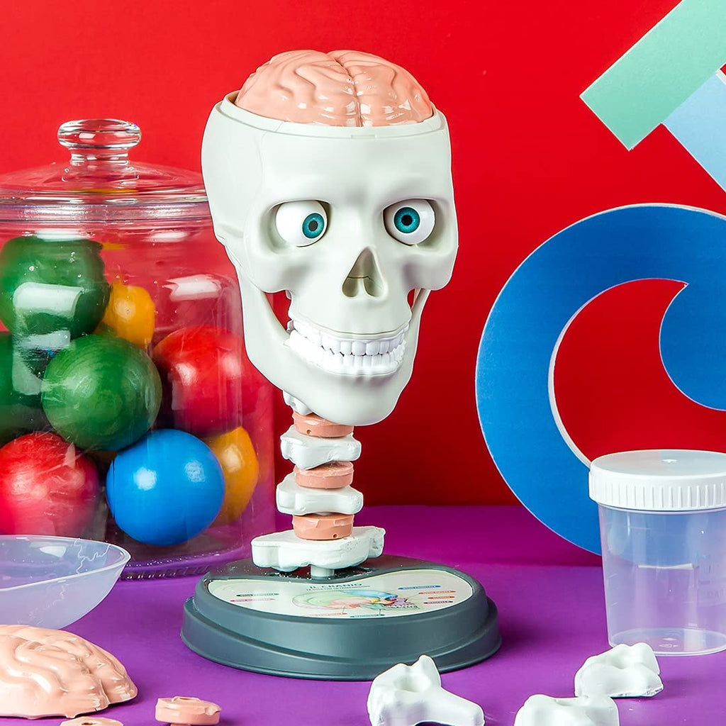 Clementoni Science & Play Crazy Anatomy Age- 8 Years & Above