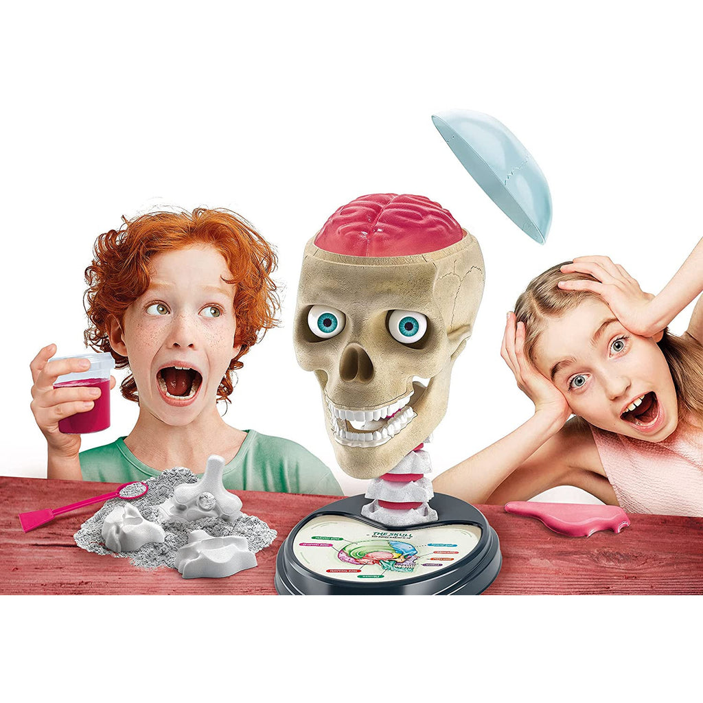 Clementoni Science & Play Crazy Anatomy Age- 8 Years & Above