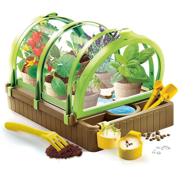 Clementoni Science & Play Greenhouse Age- 8 Years & Above