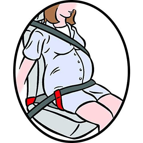 Clippasafe Bump Belt Age- 2 Months to 9 Months