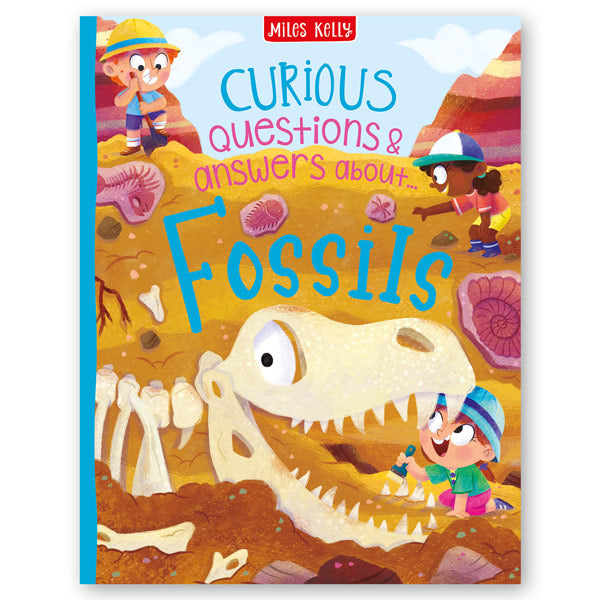 Curious Questions & Answers About Fossils
