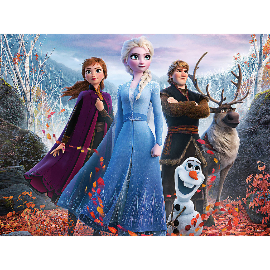 Disney Frozen 500 Pieces 3D Puzzles Age-6 Years & Above