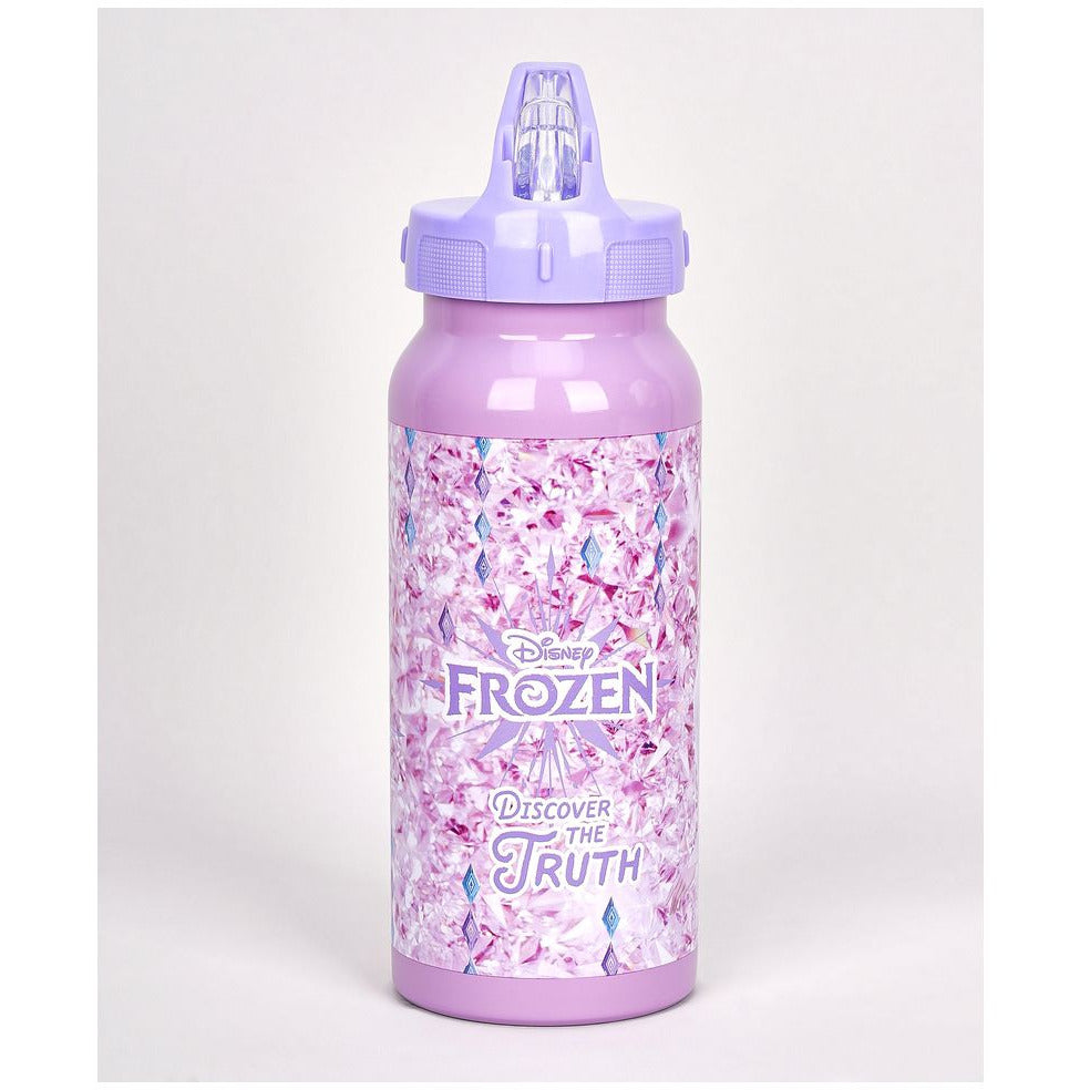Disney Frozen Discover Truth Stainles Steel Water Bottle Age-4 Years & Above