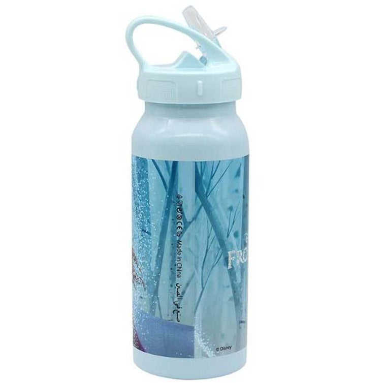 Disney Frozen II Born This Way Water Bottle Age-4 Years & Above