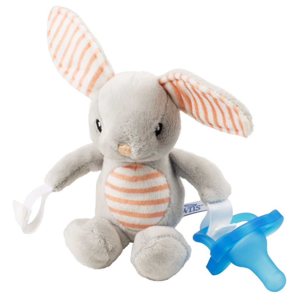 Dr Brown's Bunny Lovey with Blue One - Piece Pacifier 0-12 Months