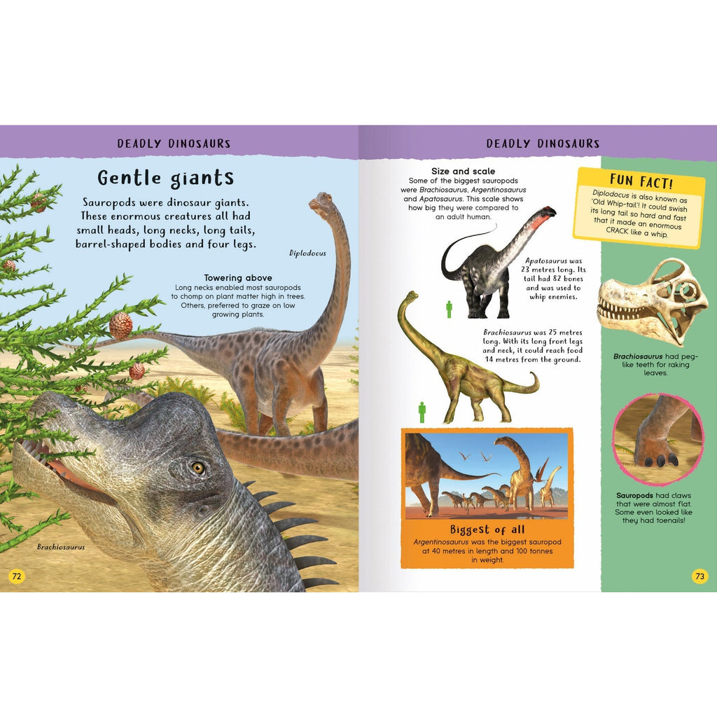 Encyclopedia of Amazing Facts
