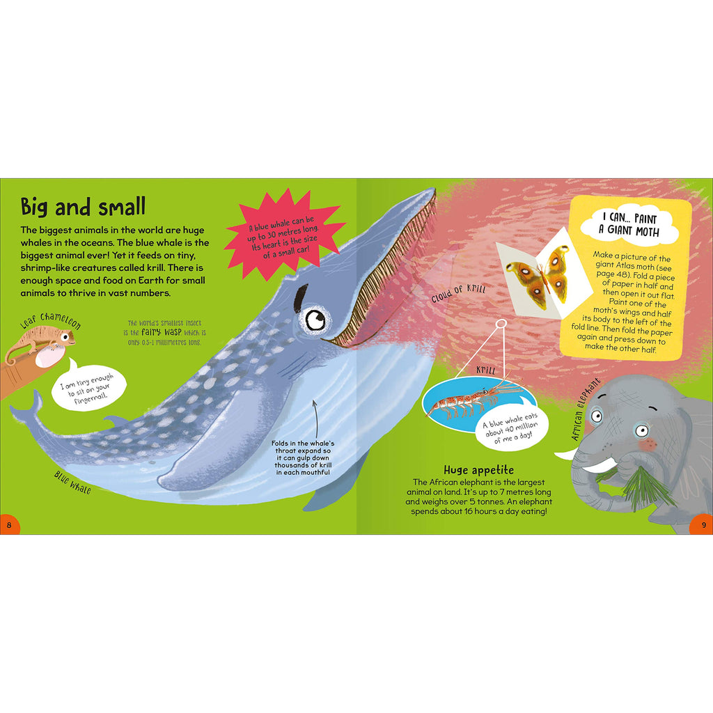 First Animal Book