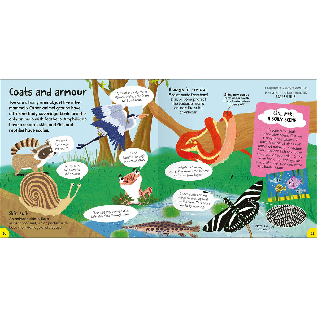 First Animal Book