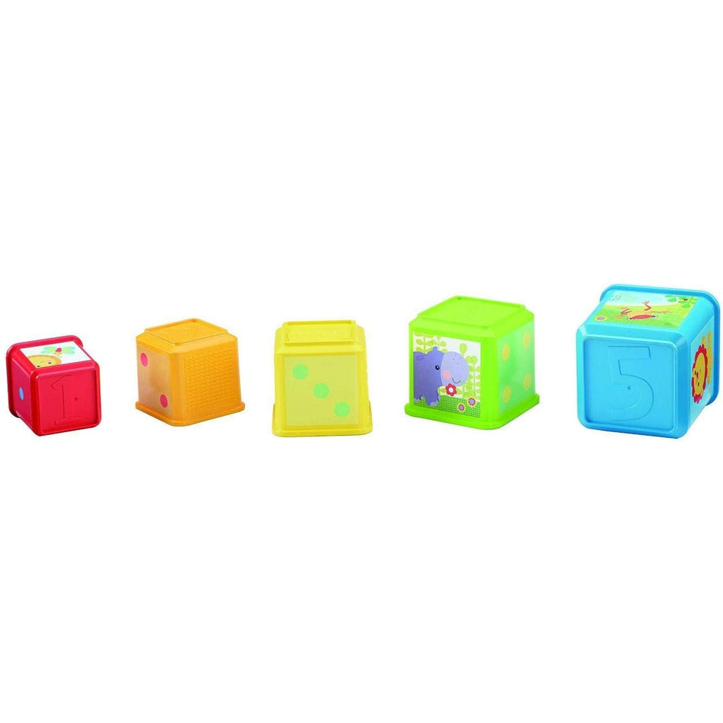 Fisher-Price Stack & Explore Blocks